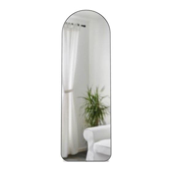 Hub Arched Leaning Mirror 20x62 Metal