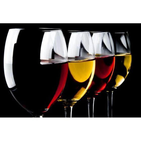 Wine Galaxy's Flavors of Four Continents  - 4 bottles, All Red