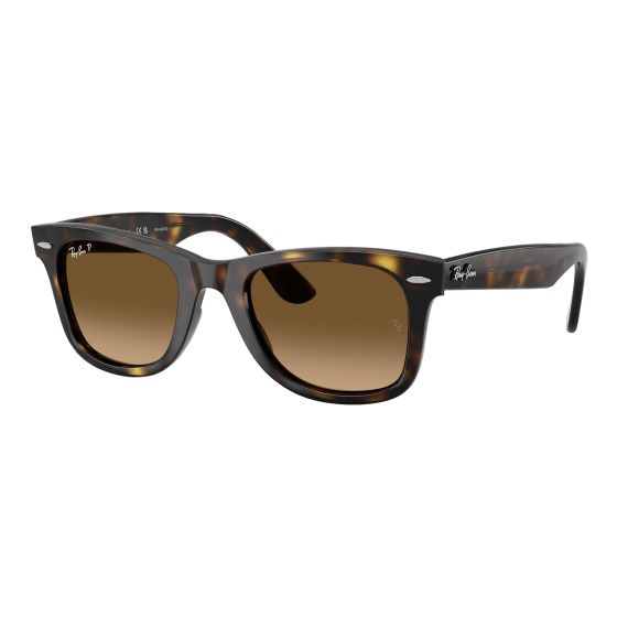 Polarized Wayfarer Ease Sunglasses