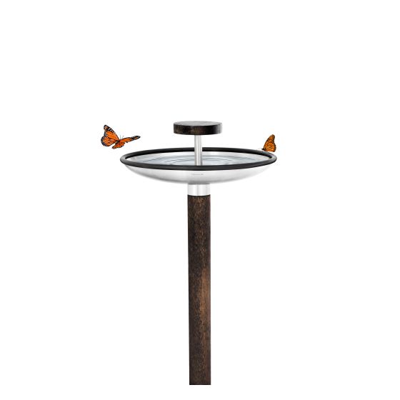 FUERA - Bird Feeder/Bird Bath
