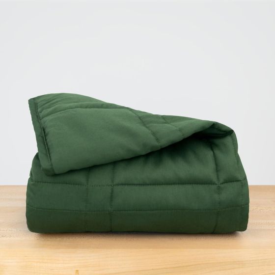 15lb Full/Queen Weighted Blanket - Spruce