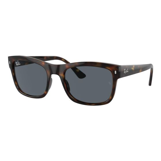 RB4428 Sunglasses