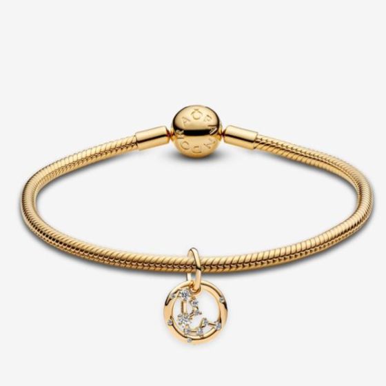 Zodiac: Aquarius Bracelet