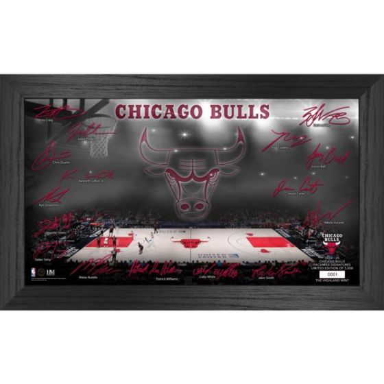 Atlanta Hawks 2024-25 Signature Court Photo Mint