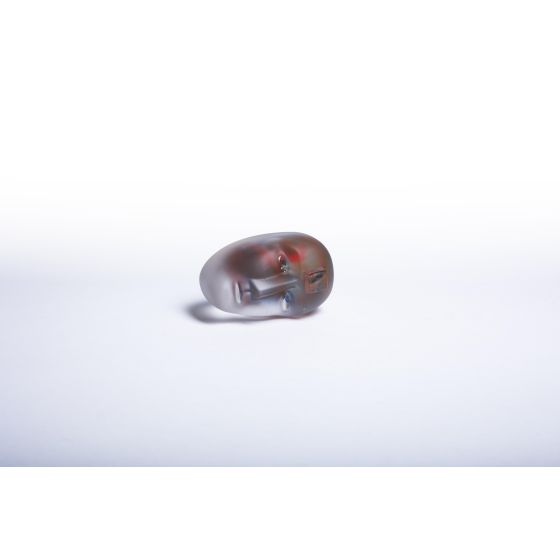 BV Brains Inside Matters Ac -21