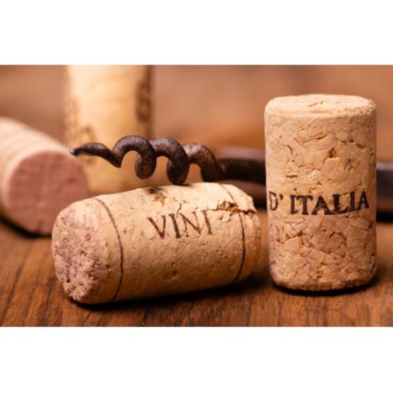 Wine Galaxy's The Taste of Italy - 2 bottles, All White
