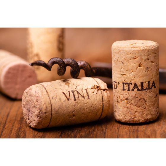 Wine Galaxy's The Taste of Italy - 2 bottles, 1 Red & 1 White