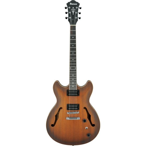 AS53 6-String Hollow-Body Electric Guitar