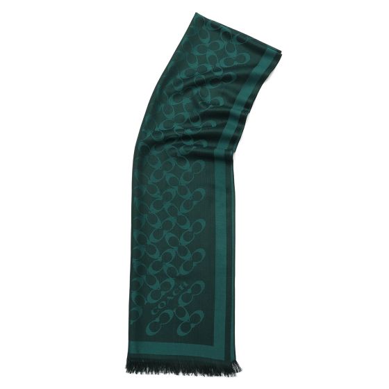 Bias Signature C Oblong Scarf - Dark Teal