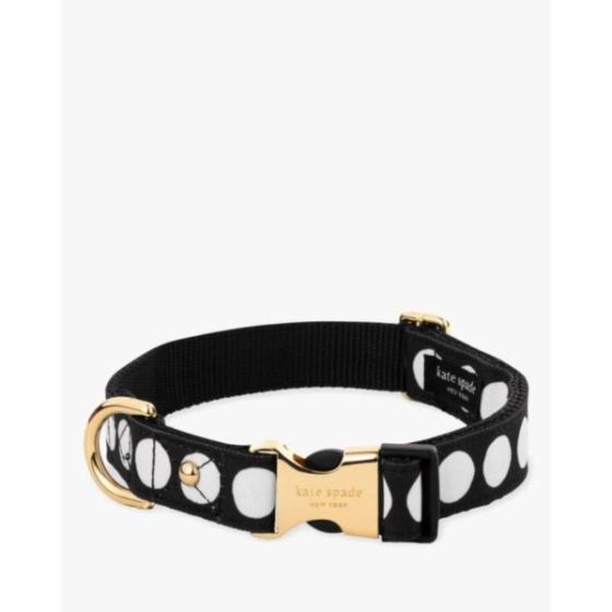Small Dog Collar, Art Dot