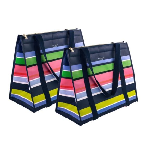 Insulated Market Tote 2pc Bundle - Sunny Day Stripe