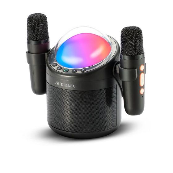 Party Light Karaoke Speaker w/ Mics