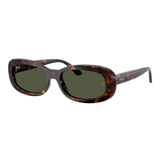 Women's RB2221 Sunglasses