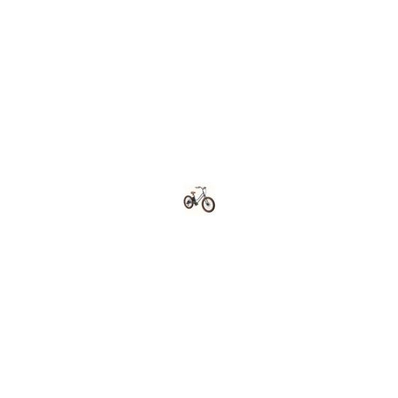 Ananda E-System - handlebar buttons for control. Swingback handlebars and padded saddle. Li-ion battery offers range up to 42 miles. Tektro mechanical disc brakes with vibration resistant rotors. 3