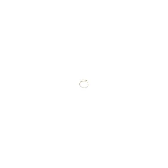 Complete with five freshwater cultured pearls and an adjustable textured paperclip chain, the Ashton Gold Delicate Chain Bracelet is the dainty accessory you've been searching for. Wear this piece on its own or with the Ashton Gold Multi Strand Necklace f