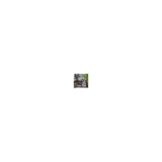 Item Description: Pick your plants up off the ground; this garden urn planter allows for variation in height in your garden area, re-invigorating your yard and giving it a sense of new interest and excitement. A drainage hole and stopper helps keep everyt