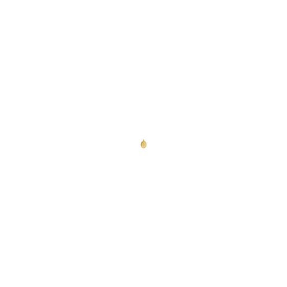 This item makes the perfect gift for any religious holiday or celebration. Show someone your appreciation with this medal made from 14K gold.  14kt Yellow Gold Framed Oval Blessed Mary Medal is perfect for everyday.