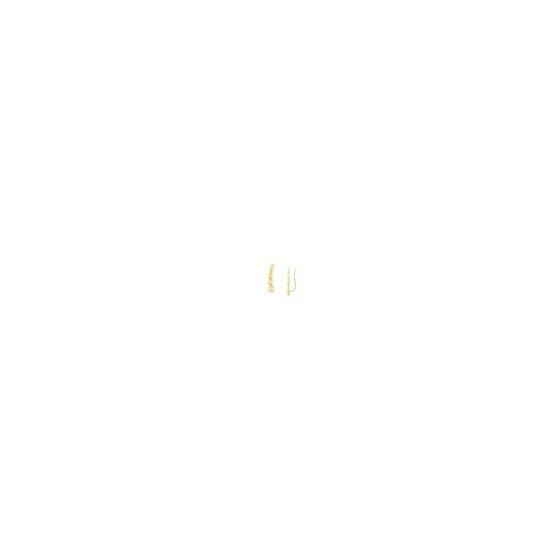 Simple and sleek with the perfect amount of texture to add a little somethin' to your ear party. 14kt Yellow Gold Graduated Bead Climber Earrings is perfect for everyday.