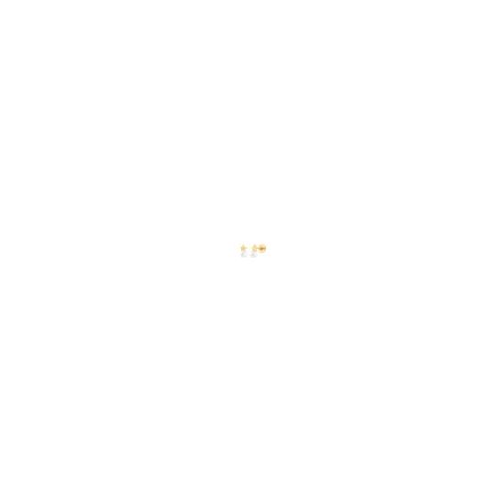The perfect starter pair of earrings for any child. These 14K yellow gold stud earrings with a pearl are lightweight and delicate. 14kt Yellow Gold Child's Star and Pearl Stud Earrings with Screw Back is perfect for everyday.