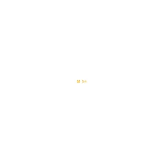 These simple 14K yellow gold studs will never go out of style. These studs are a fun piece that perfectly pairs with any outfit.  14kt Yellow Gold Cat Stud Earrings on Post Back is perfect for everyday.