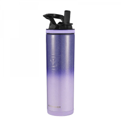 IceShaker 20 oz Sport Bottle-Lilac Dreaming