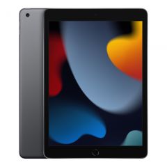 10.2-inch iPad Wi-Fi + Cellular 256GB - Space Gray