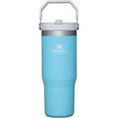 Stanley The IceFlow Flip Straw Tumbler	30 oz, Pool