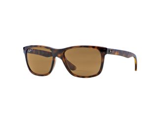 Polarized RB4181 Sunglasses