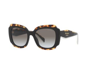 PR16YS Sunglasses - Black/Havana/Grey