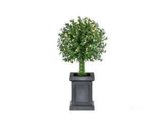 2-Ft. Boxwood Ball Topiary with Black Pot and Warm White LED Lights