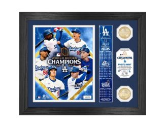 LA Dodgers 2024 World Series Banner Photo Mint
