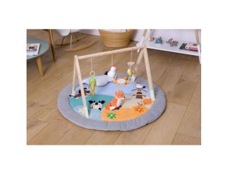 Wooden Activity Gym - Farm