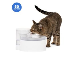 Outlast 60 oz Pumpless Pet Fountain