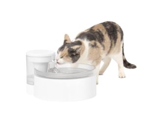 Outlast 90oz Pumpless Pet Fountain
