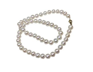 18" Akoya Pearl Necklace with Gold Clasp