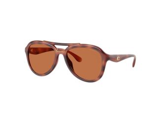 Tabby Pilot Sunglasses