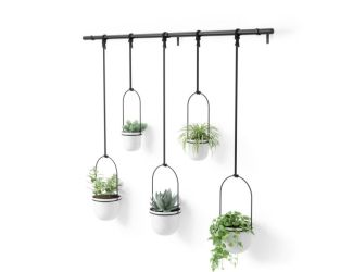 Triflora 5 Hanging Planter Wht/Black