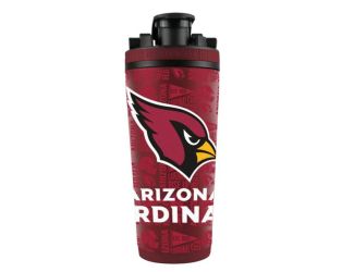 NFL Officially Licensed 4D Ice Shaker - Cardinals