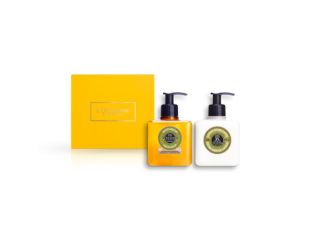 Shea Verbena Duo