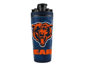 NFL Officially Licensed 4D Ice Shaker BEARS