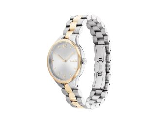 Ladies' Linked Silver & Gold-Tone Stainless Steel Watch Silver Dial