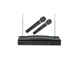 Professional Dual Wireless Microphone System