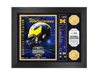 Michigan Wolverines 2023 CFP National Champions Banner Photo Mint
