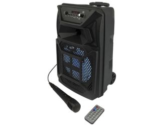 Wireless Tailgate Party Speaker w/ Microphone
