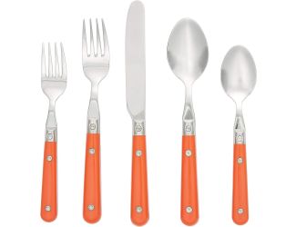 Ginkgo LePrix Persimmon 20 pc Flatware Set