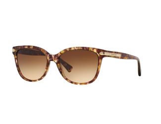 Women's Sunglasses - Multi/Brown