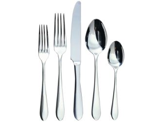 Ginkgo Linden Stainless 20 pc Flatware Set