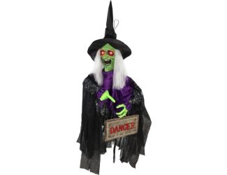 Animatronic Witch Groundbreaker with Lights and Sound, Indoor/Covered Outdoor Halloween Decoration