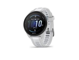 Forerunner 165 Running Smartwatch Mist Gray/Whitestone