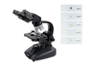 Advanced Compound Microscope Bundle with 5 Prepared Slides